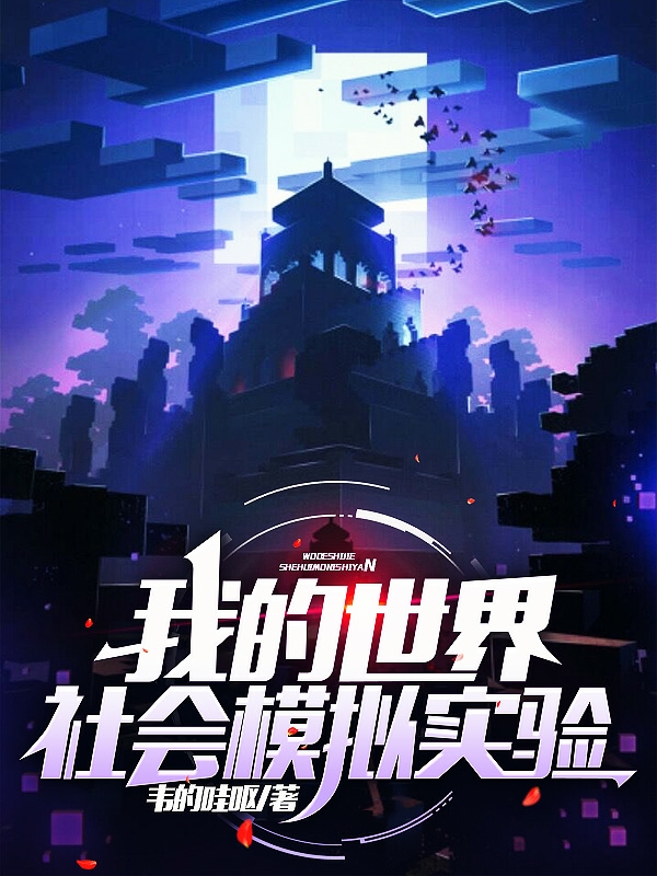 已完结小说《我的世界：社会模拟实验》在线全文阅读