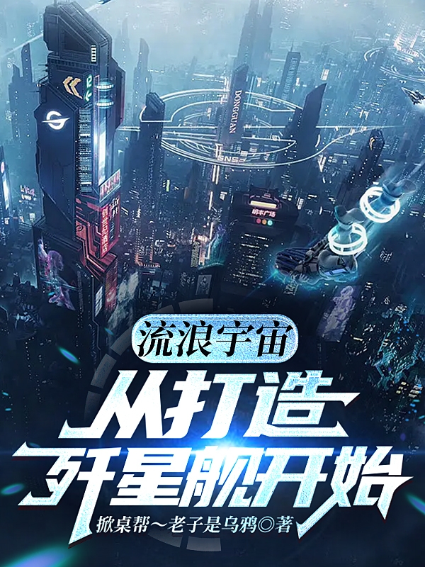 小说林文流浪宇宙：从打造歼星舰开始在线免费阅读