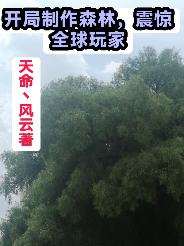 開局製作森林，震驚全球玩家