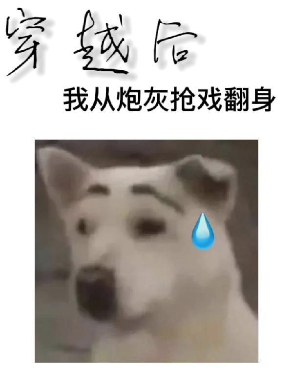 穿越後，我從炮灰搶戲翻身