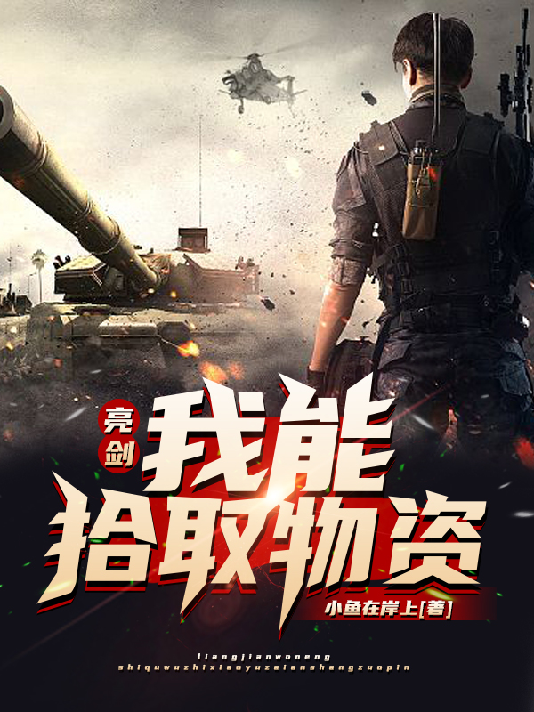 齐明小说叫什么（亮剑：我能拾取物资免费阅读）