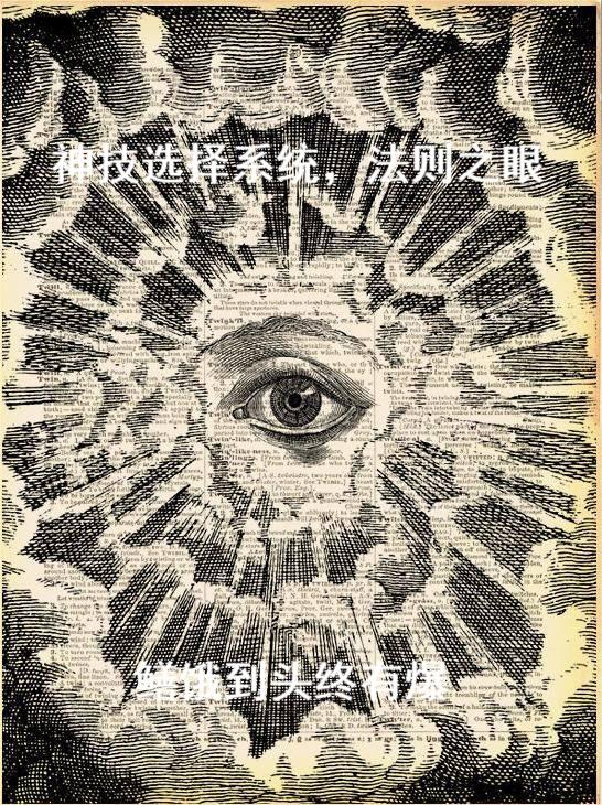 求苏寒苏鱼儿小说免费资源