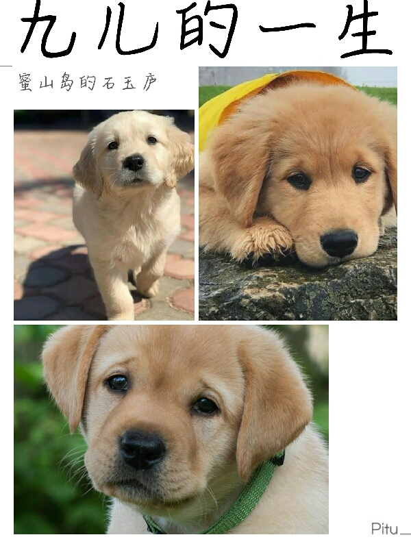 九儿的一生小说，九儿的一生全文在线阅读