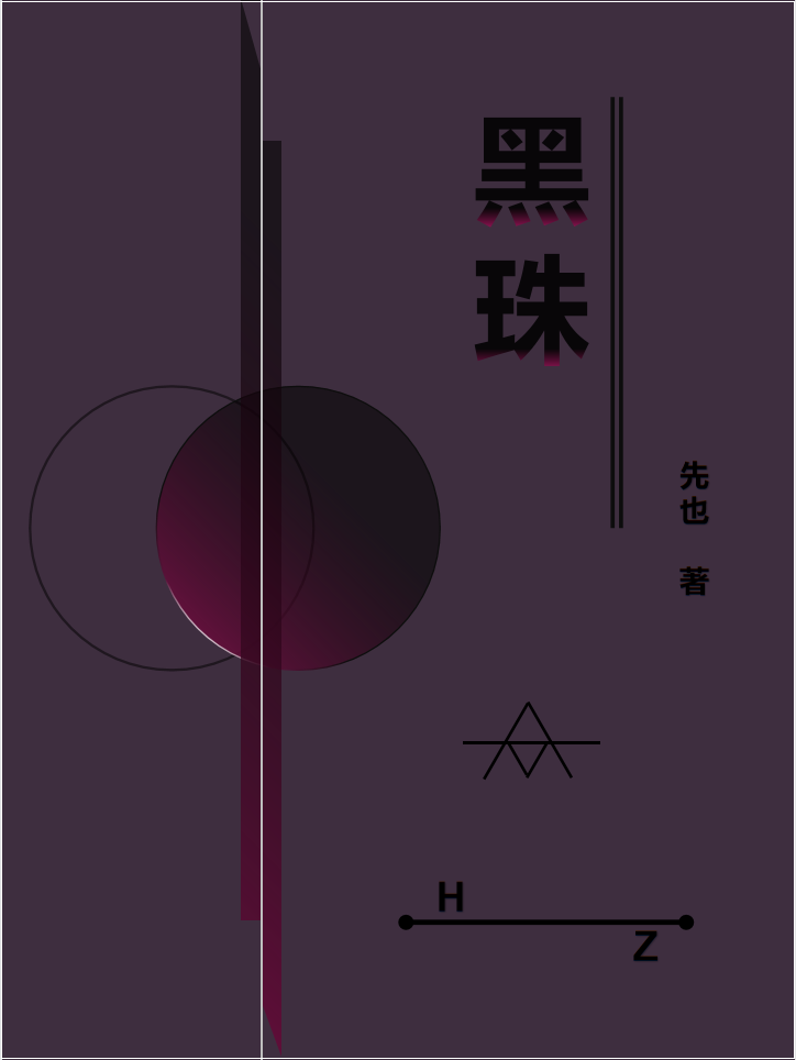 小说《黑珠》全文免费阅读