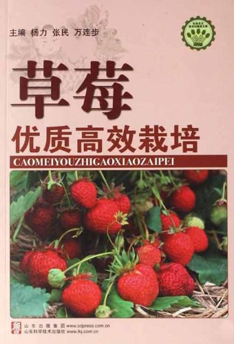 草莓优质高效栽培