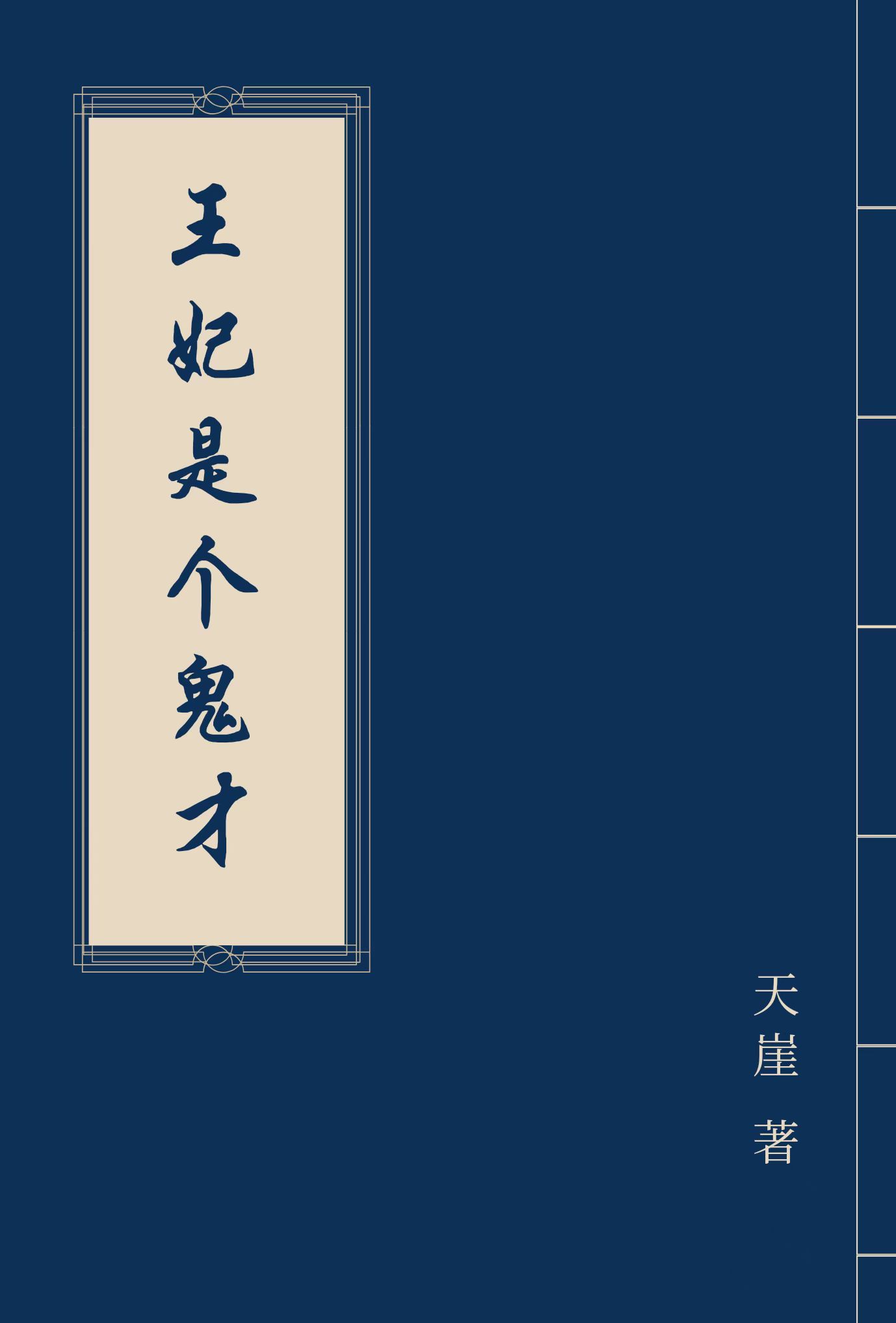 王妃是個鬼才小說，王妃是個鬼才免費閱讀