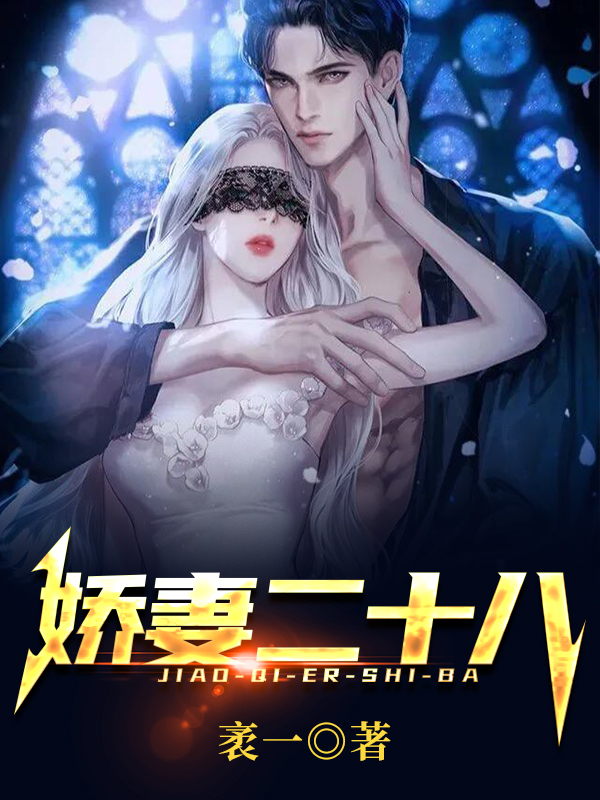 完整版《娇妻二十八》免费阅读