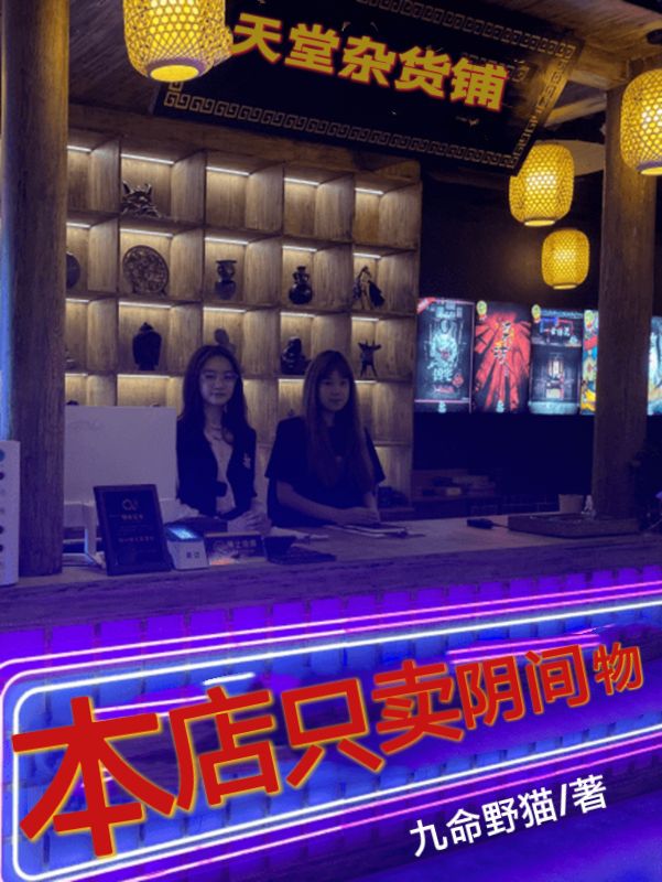 本店只卖阴间物小说完整版全文免费阅读