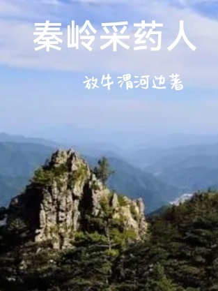 主角叫黄洋桃子的小说在哪阅读-优文网