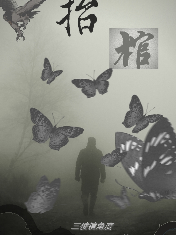抬棺（石啸）在线免费阅读