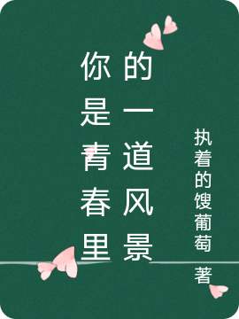小说《你是青春里的一道风景》在线全文阅读