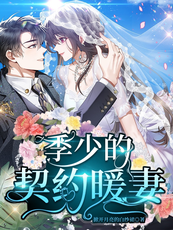 小说《季少的契约暖妻》全文阅读