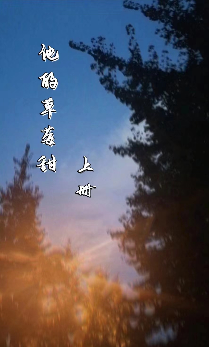 小说《他的草莓甜》全文免费阅读