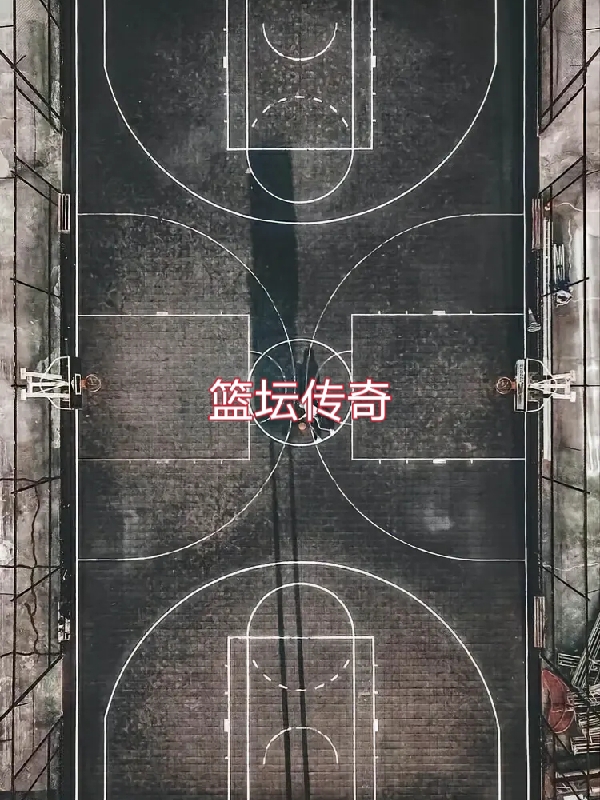 篮坛传奇最新章节，篮坛传奇免费阅读