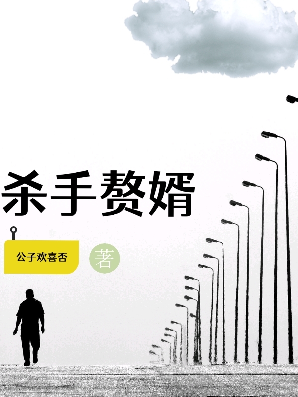 杀手赘婿免费阅读