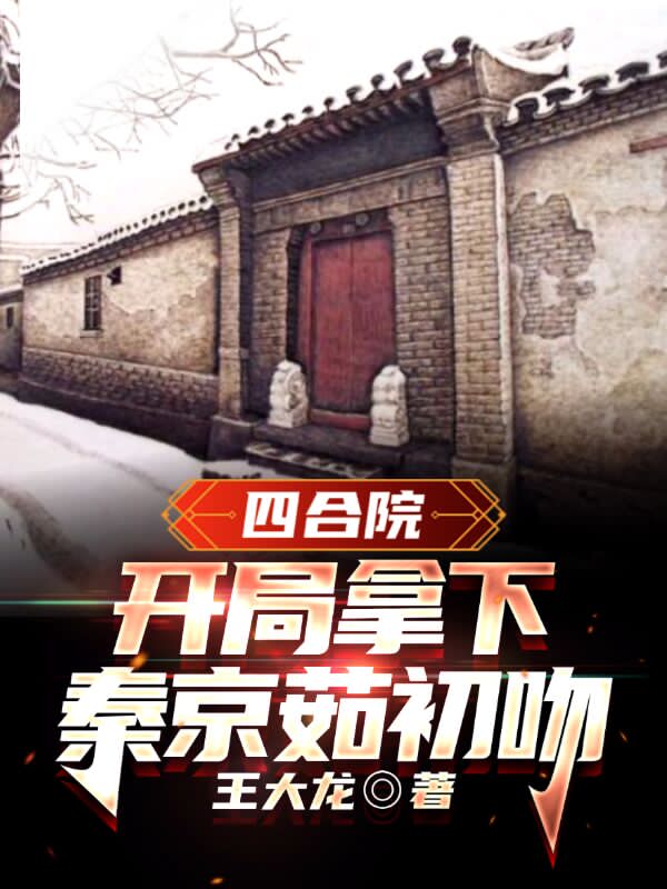 四合院：开局拿下秦京茹初吻在哪看，于海洋小说完整版阅读