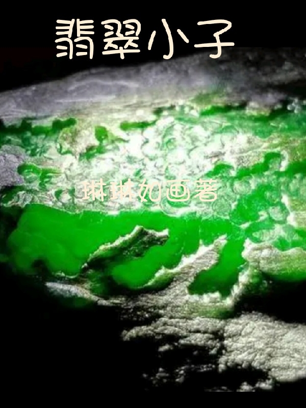 主人公叫林枫的小说翡翠小子在线阅读全文