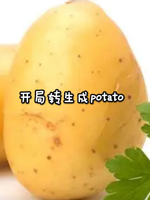 开局转生成Potato
