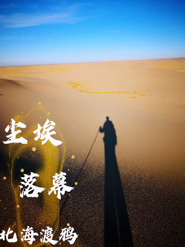 主角我他小说完整版在线阅读，尘埃，落幕免费看-够力荐小说推荐网