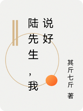 陆先生，我说好（陆宸谦锦宁）在线免费阅读