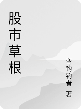 股市草根小说，股市草根刘泽熙夏可可