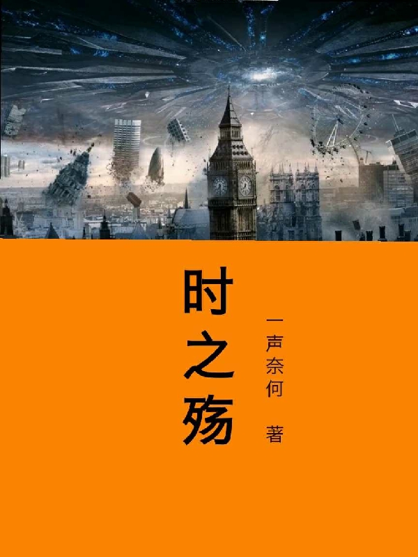 时之殇冷子锋，时之殇小说免费阅读