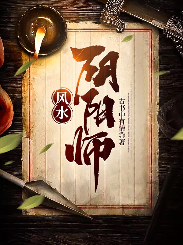 陆子风小说叫什么（风水阴阳师免费阅读）