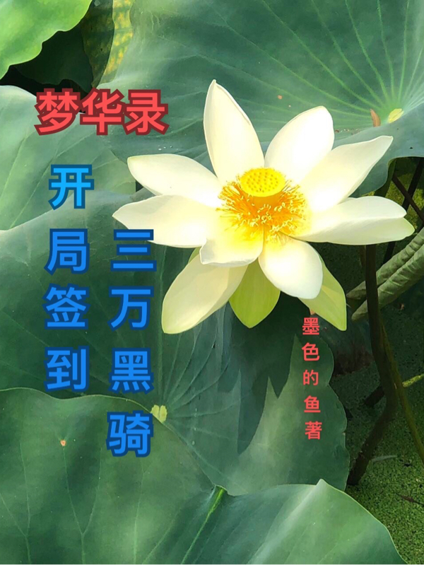 夢華錄開局簽到三萬黑騎