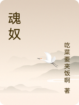 魂奴小说主角林奕宁明全文章节免费在线阅读