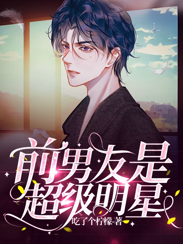 前男友是超级明星夏以辰洛珩，前男友是超级明星小说免费阅读