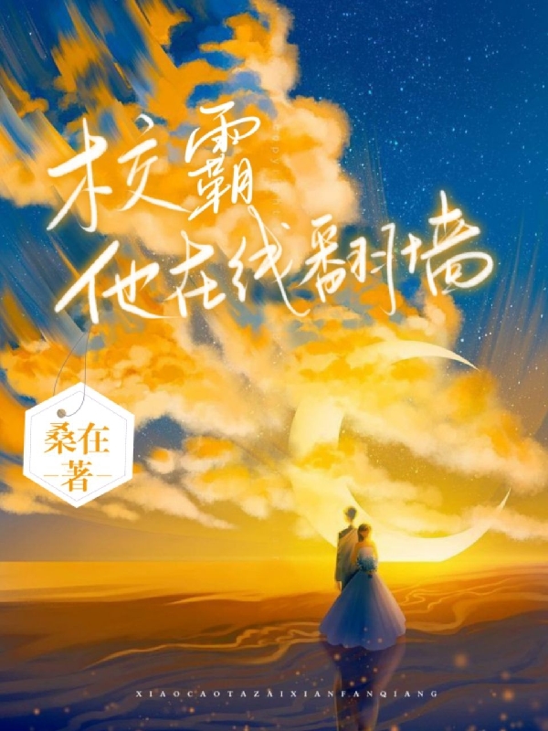 校霸他在线翻墙唐好楚安小说大结局免费试读