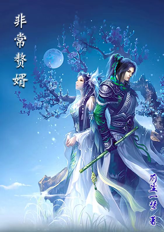 主人公叫宁小七林云的小说非常赘婿在线阅读全文