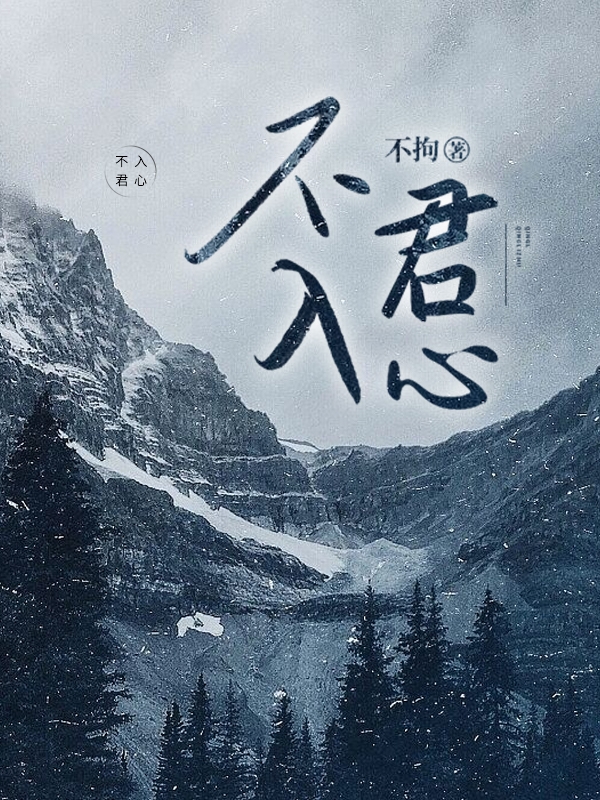 不入君心陈央玖陆衡天免费阅读