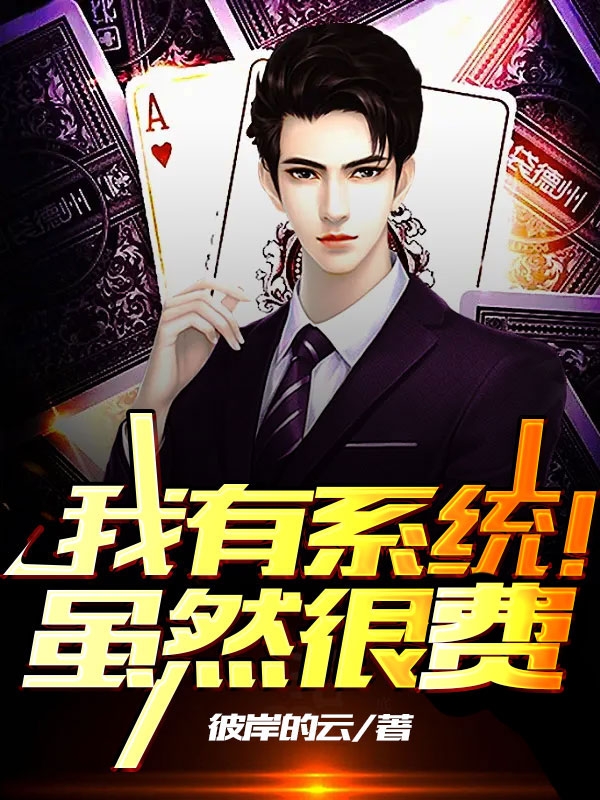 我有係統！雖然很費