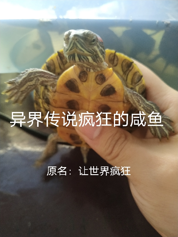 已完结小说《异界传说疯狂的咸鱼》全章节在线阅读