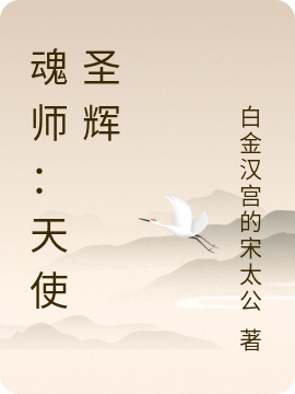 求魂师：天使圣辉小说免费资源-够力荐小说推荐网