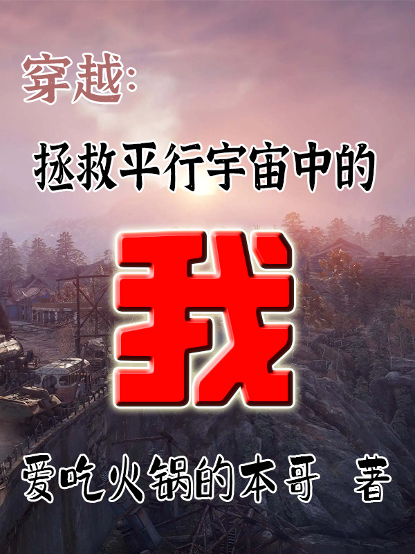 穿越：拯救平行宇宙中的我
