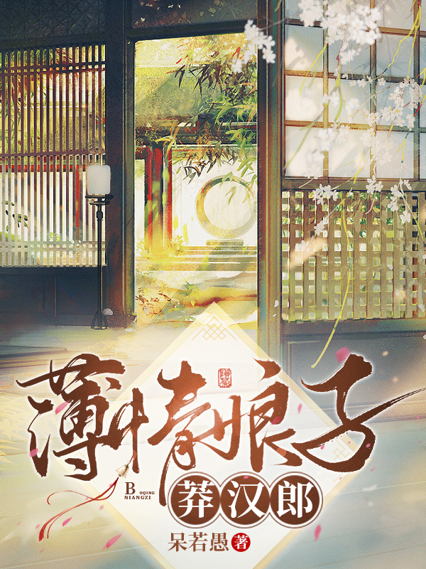 薄情娘子莽汉郎小说免费阅读，文安然齐广君小说免费全文