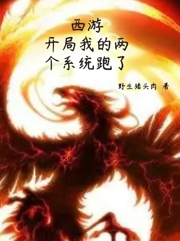 主角文泰小说西游：开局我的两个系统跑了免费阅读