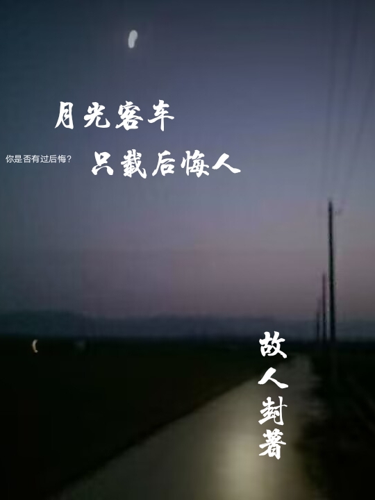 小说《月光客车》全文免费阅读