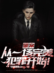 破案：从一场完美犯罪开始！小说，破案：从一场完美犯罪开始！夏歌付悦严羽方颖