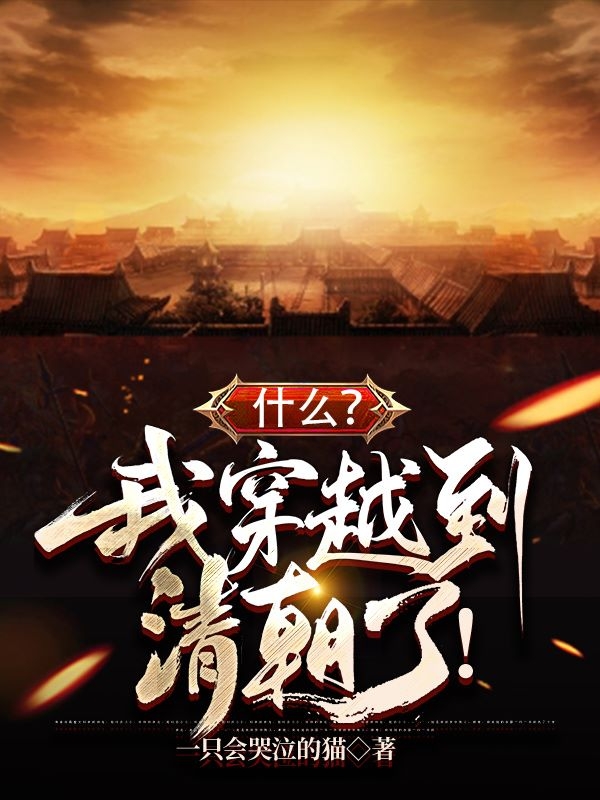 什么？我穿越到清朝了！高兵免费阅读