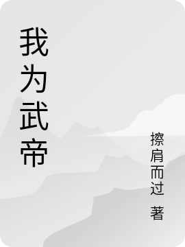 我为武帝免费阅读，叶凌风完整版阅读