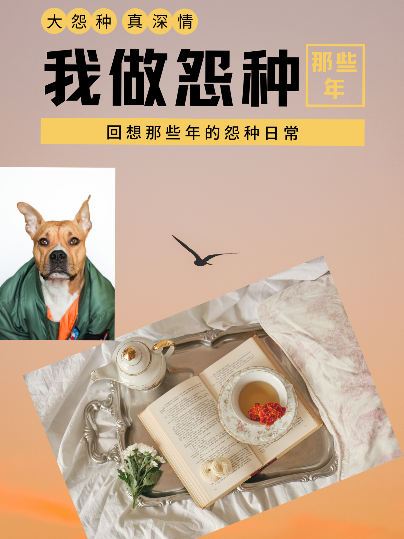 我做怨种那些年小说，我做怨种那些年在线阅读