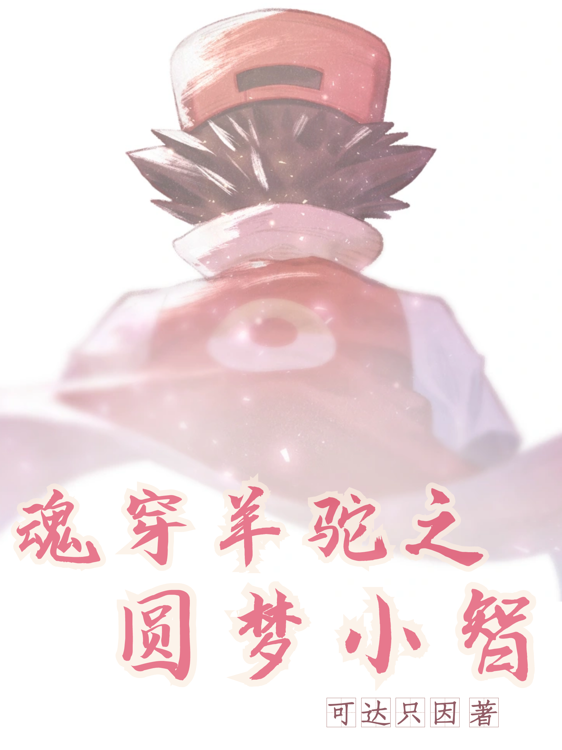 魂穿羊駝之圓夢小智