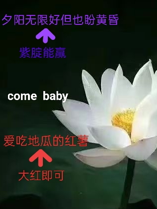 夕阳无限好但也盼黄昏林夕岚陆汐颜，夕阳无限好但也盼黄昏全文在线阅读