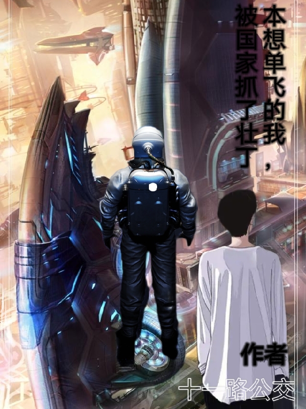 本想单飞的我，被国家抓了壮丁小说，本想单飞的我，被国家抓了壮丁云凡李青云