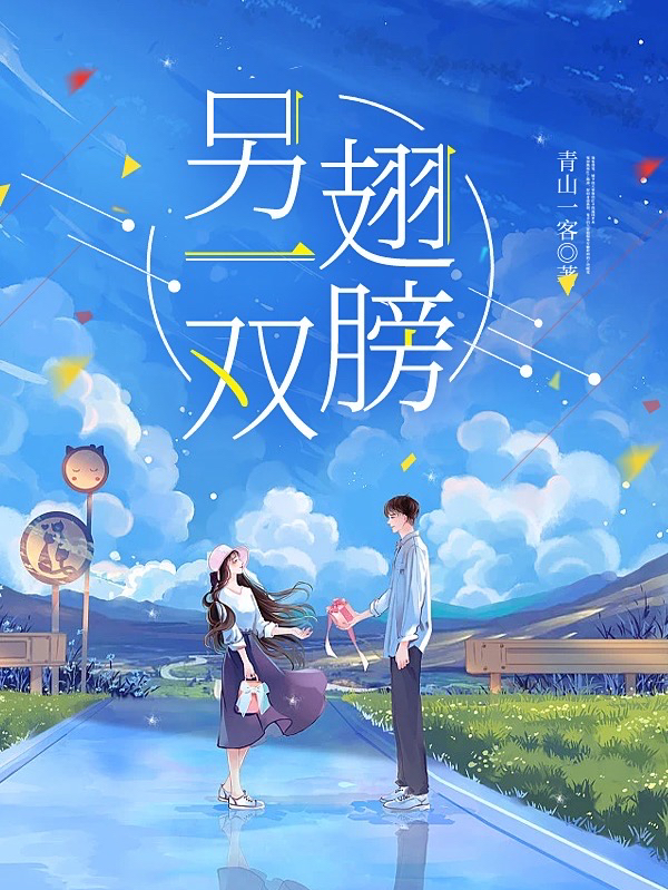 小说《另一双翅膀》全文阅读