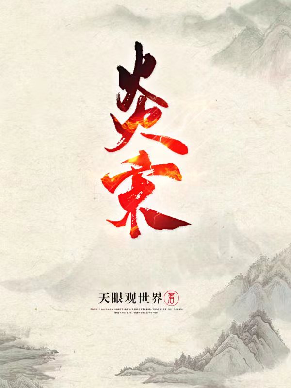 炎宋全文免费阅读，岳飞赵构小说最新章节阅读