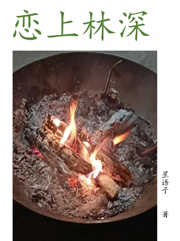 完整版《恋上林深》全文阅读